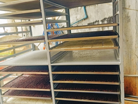 xưởng sản xuất