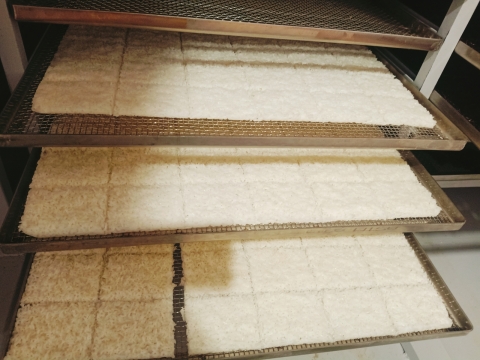 SẢN XUẤT PHÔI CƠM