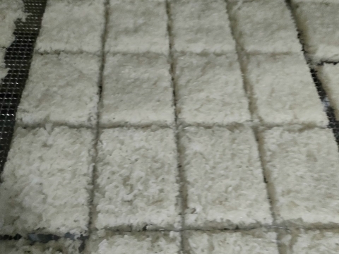 PHÔI CƠM - CƠM SẤY