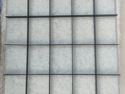 PHÔI CƠM - CƠM SẤY