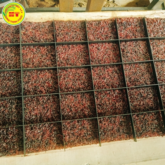 PHỐI CƠM GẠO LỨC